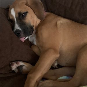 Meet your Posher, Kelli